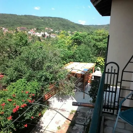 Vila Zlatevi